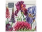 �������� �������� 24�24 [25] 3-� ������� Bouquet de Luxe 